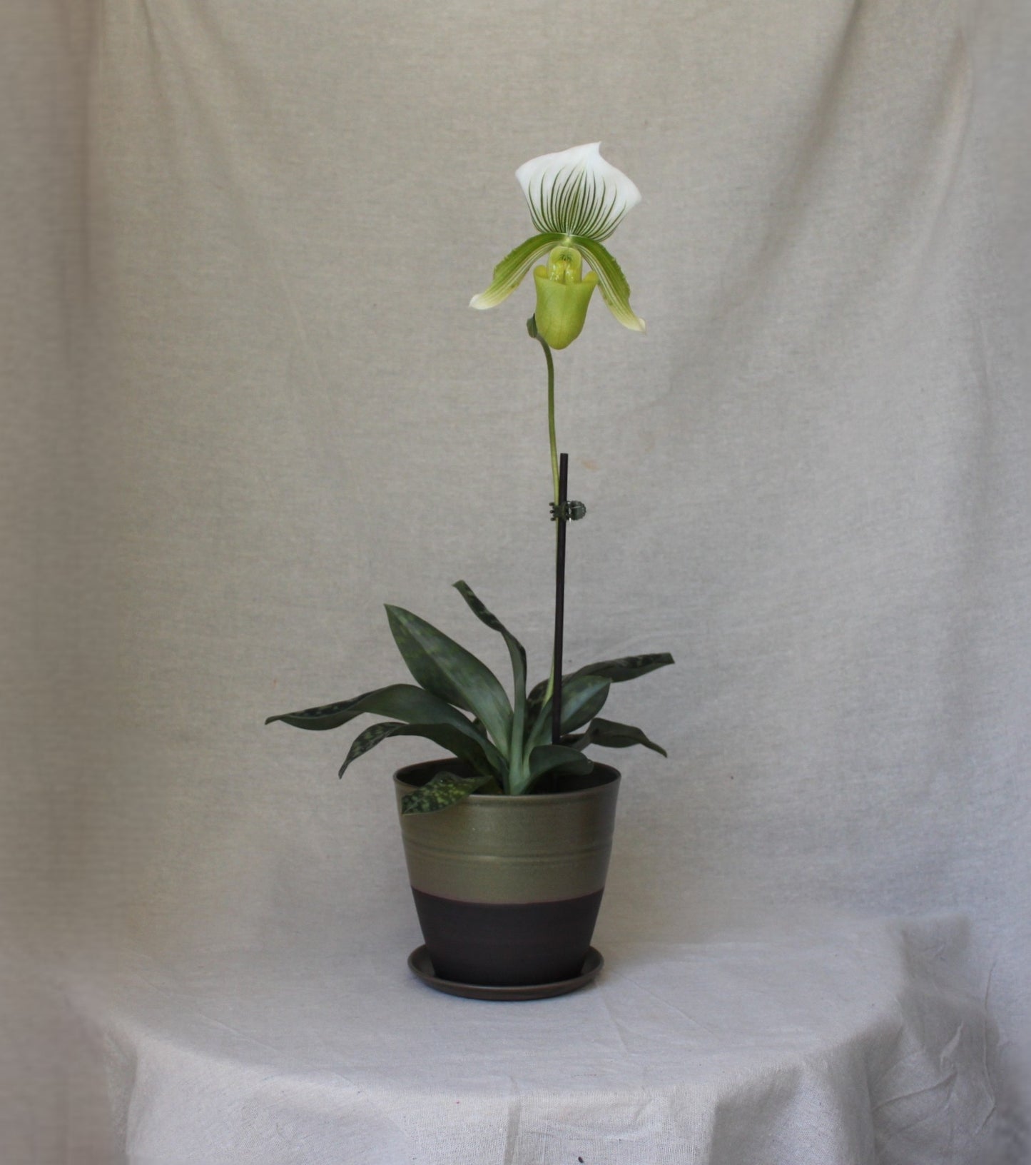 Handmade Ceramic Planter