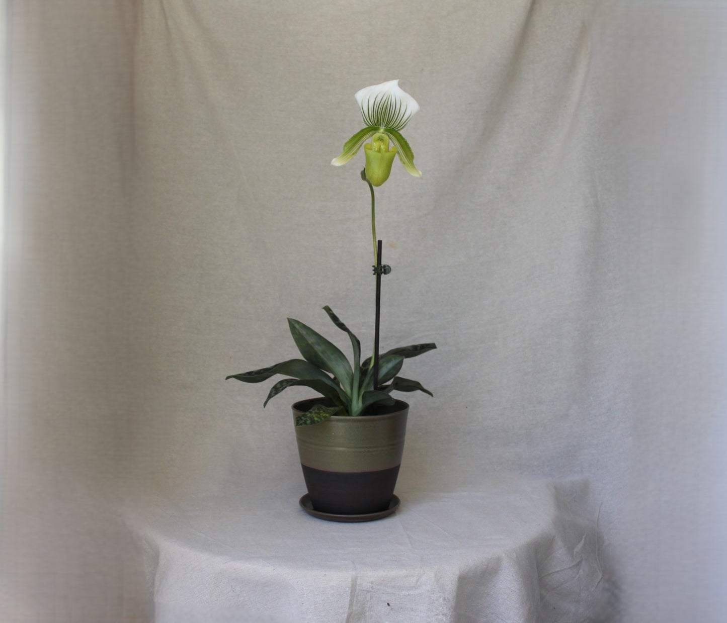 Handmade Ceramic Planter