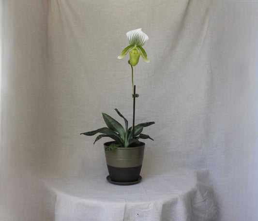 Handmade Ceramic Planter