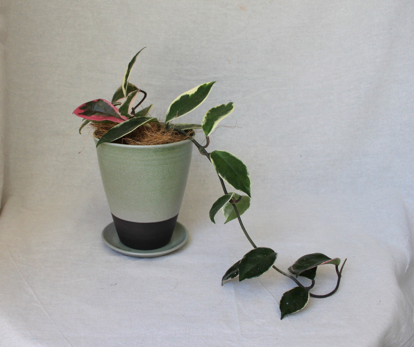 Handmade Ceramic Planter