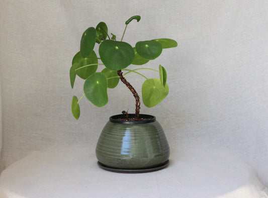 Handmade Ceramic Planter